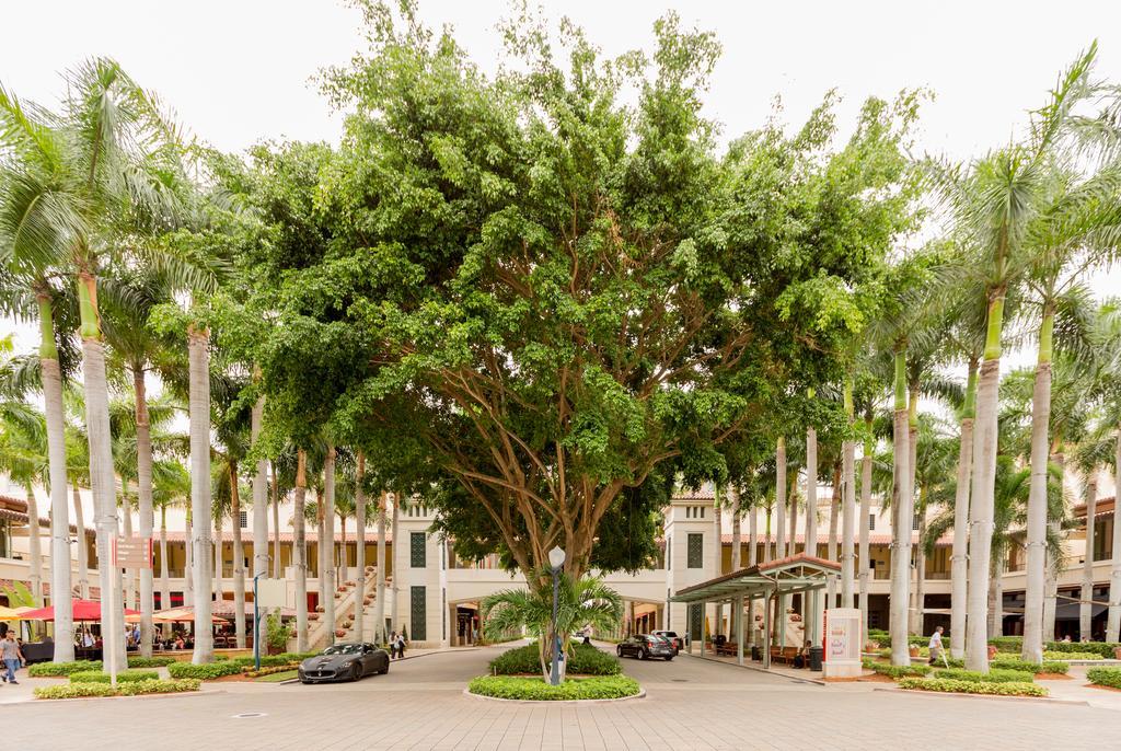 Pelicanstay In Coral Gables Miami ภายนอก รูปภาพ